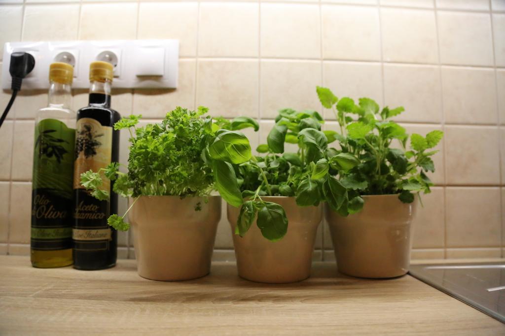 Apartment Krtek Modern & Central Apartment By Easybnb Prague